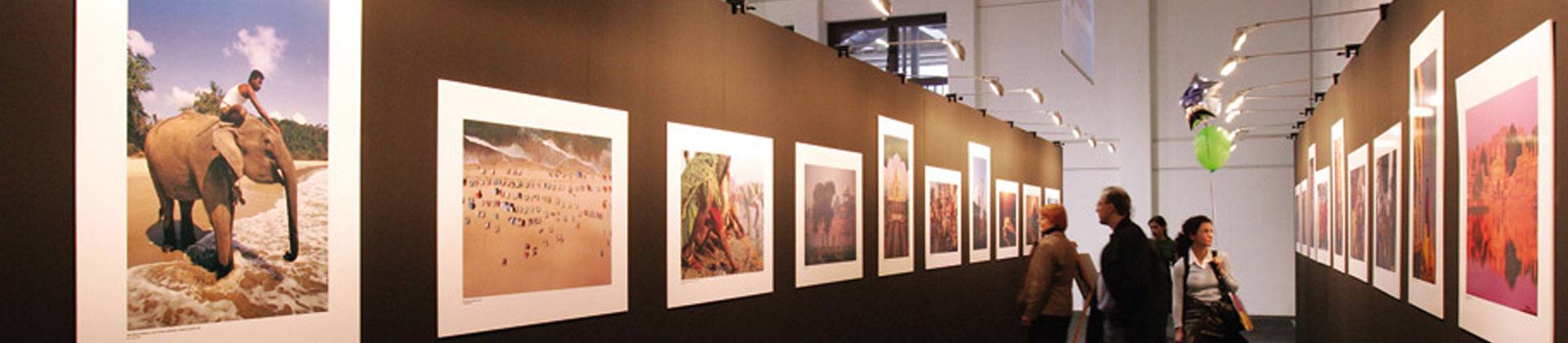 Art Exhibitions