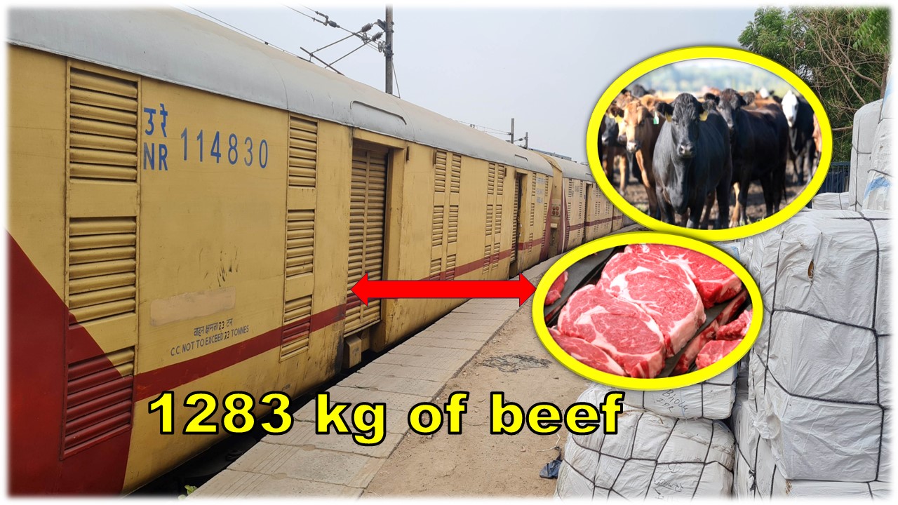 1,283 kg beef seized on Vadodara train; FIR against two for banned meat transport.