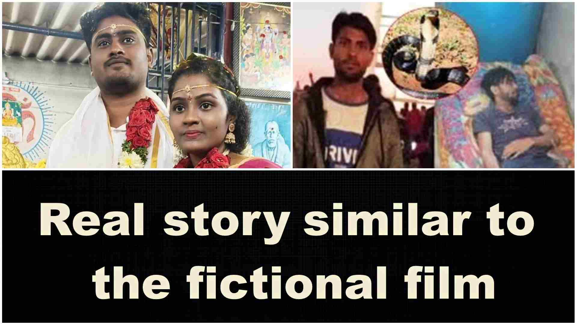 Startling Cases Revealed: Mysterious Losses and Secret Intentions in Meerut & Chittoor