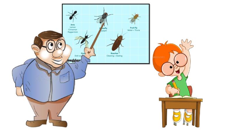 Can the Insects support Humans