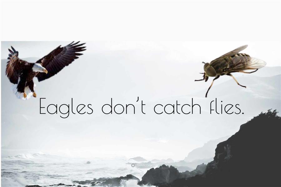 Eagles don't catch flies