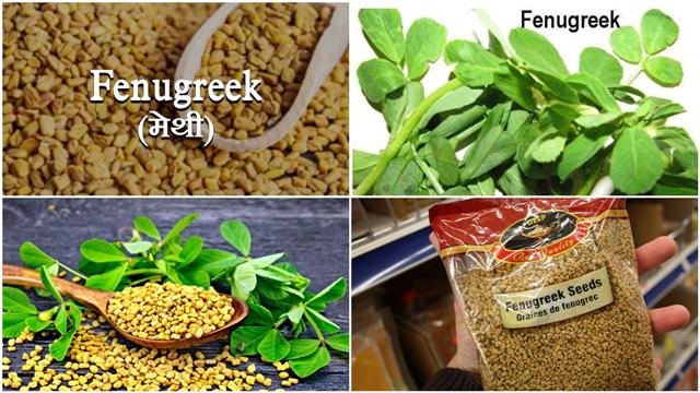 15 Benefits of fenugreek seeds