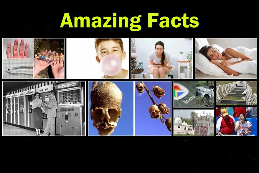 10 Amazing Facts-5