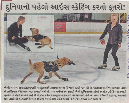 'World's first' ice skating dog