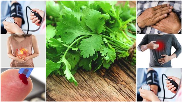 Here are 7 impressive health benefits of coriander