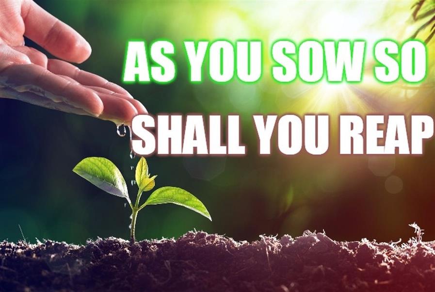 As you sow, so you shall reap