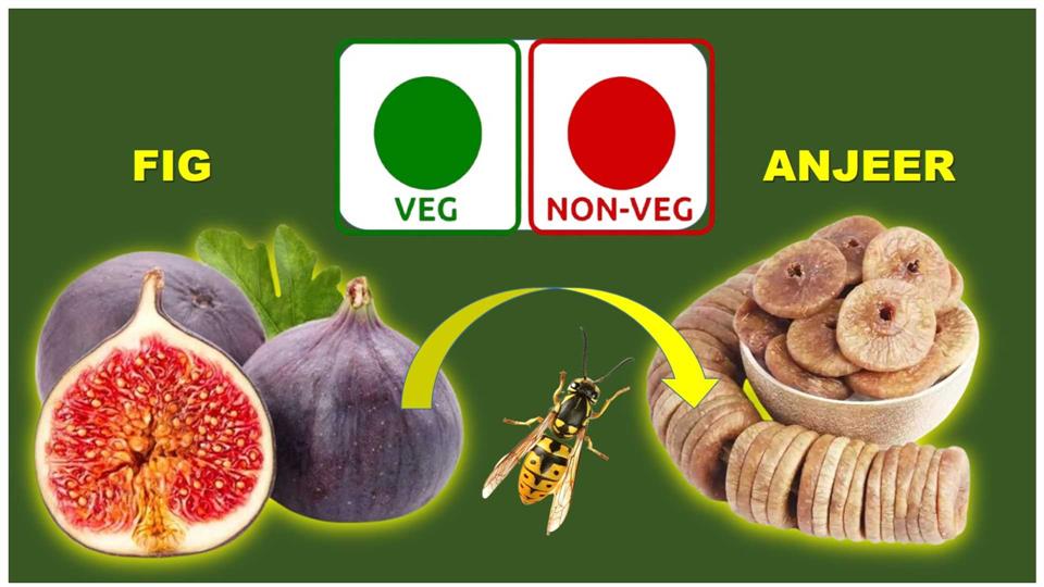 Is anyone unaware of Non Veg Anjeer Fig?