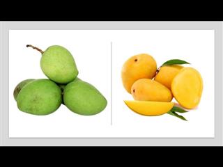Benefits of Mango & Disadvantages of mango